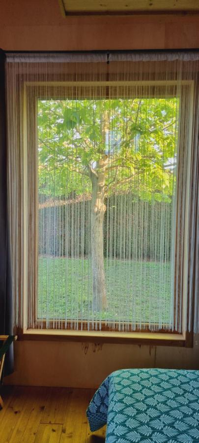 Cottage Garden View,1538923168:JPEG