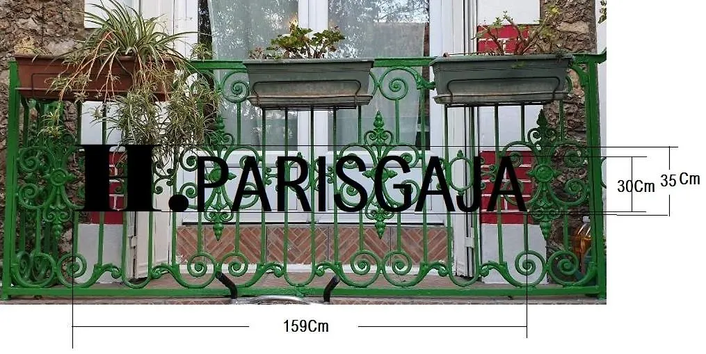 Parisgaja-1