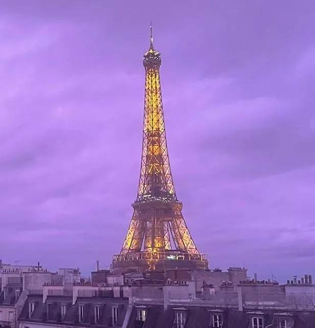 Parisian Sparkle Retreat, 150M From American Hospital-1
