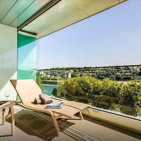 Vue sur Seine Musicale-3