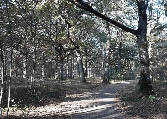Les Prunelliers Rambouillet
