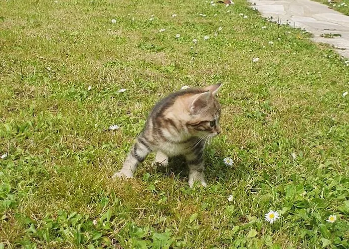 Lodges in Ile-de-France