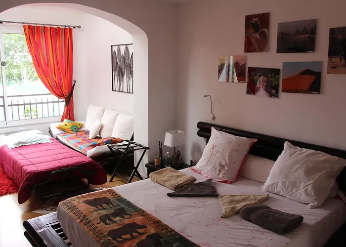 La bambouseraie Montrouge